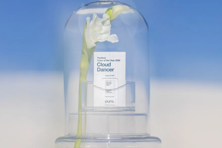 Cloud Dancer scent by Pura in a glass jar with a white flower next to it.